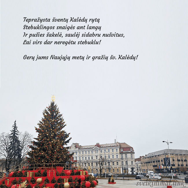 Vilniaus kalėdinė eglutė 2025