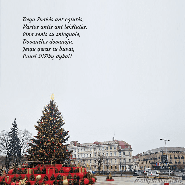 Vilniaus kalėdinė eglutė 2025