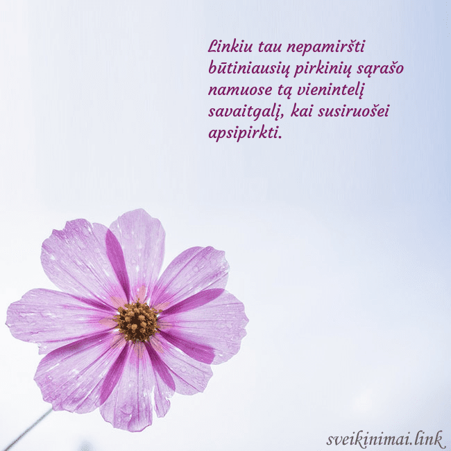 Elektroninė atvirutė su violetine gėle