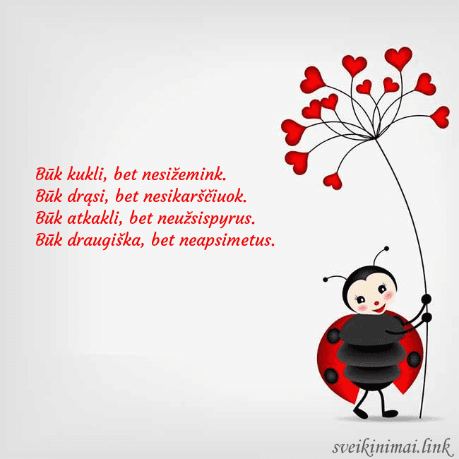 Atvirukas su boruže Būk kukli, bet nesižemink.
Būk drąsi, bet nesikar Atvirukas su boruže
