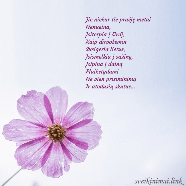 Elektroninė atvirutė su violetine gėle