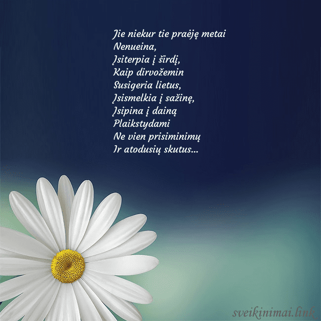 Gimtadienio atvirukas su didele ramune