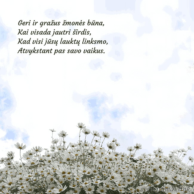 Atvirukas su ramunėmis Geri ir gražus žmonės būna,
Kai visada jautri šird Atvirukas su ramunėmis