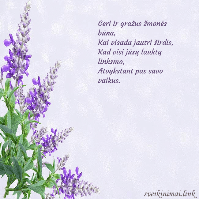 Gimtadienio atvirukas su lubinais Geri ir gražus žmonės būna,
Kai visada jautri šird Gimtadienio atvirukas su lubinais