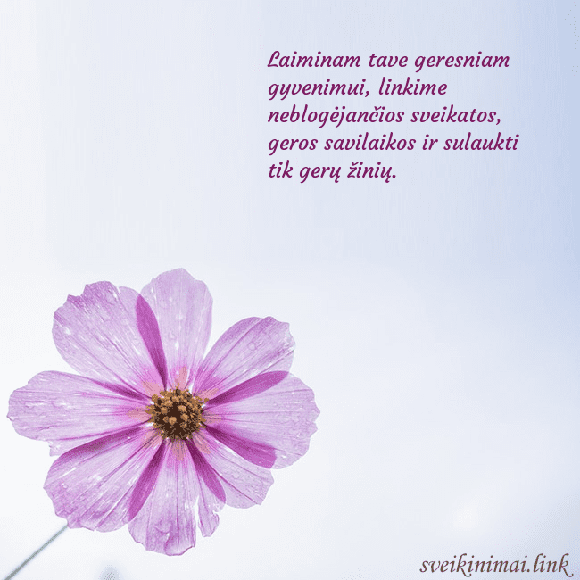 Elektroninė atvirutė su violetine gėle Laiminam tave geresniam gyvenimui, linkime neblogė Elektroninė atvirutė su violetine gėle