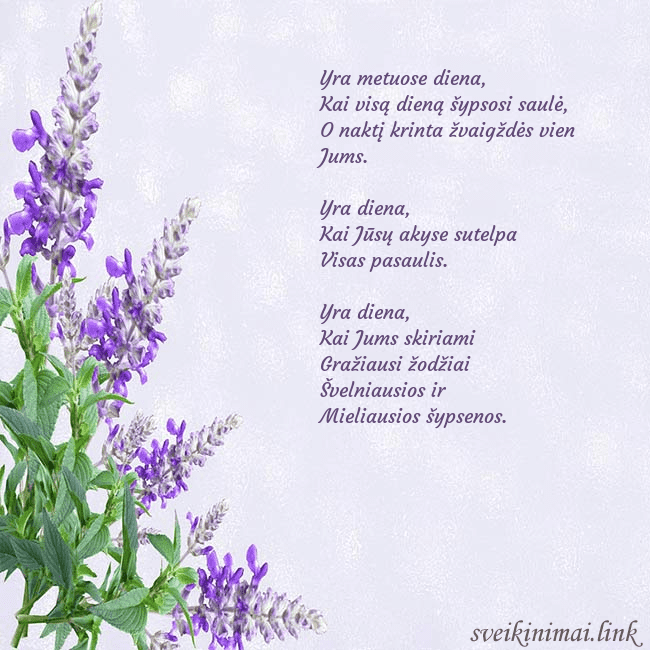 Gimtadienio atvirukas su lubinais