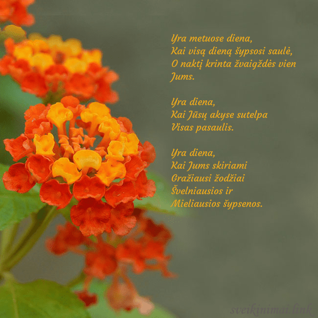 Atvirukas su oranžinėmis gėlėmis