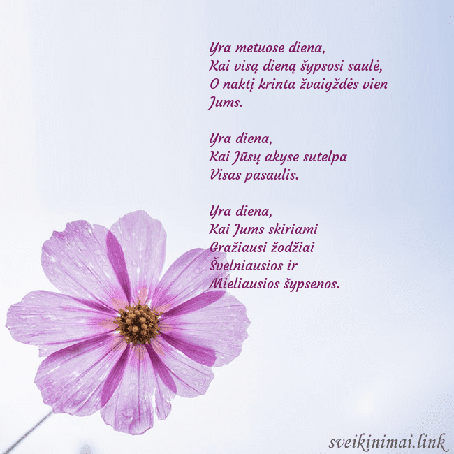Elektroninė atvirutė su violetine gėle