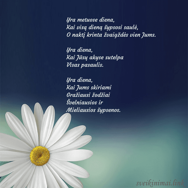 Gimtadienio atvirukas su didele ramune