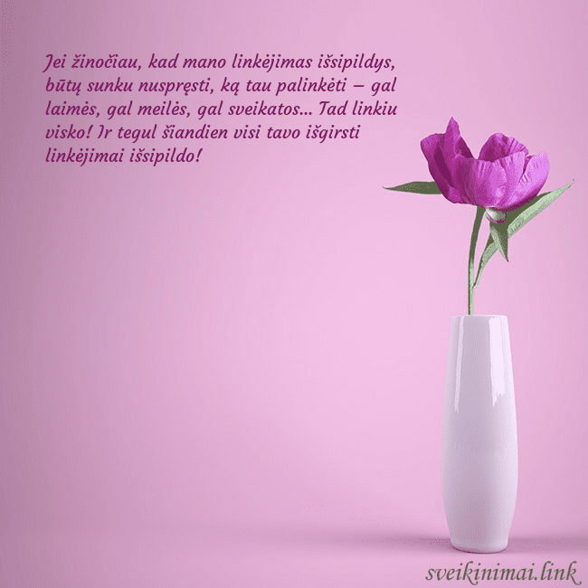 Elektroninė atvirutė su bijūnu vazoje Jei žinočiau, kad mano linkėjimas išsipildys, būtų Elektroninė atvirutė su bijūnu vazoje