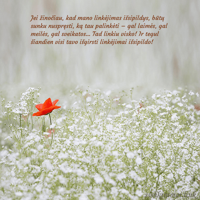 Elektroninis gimtadienio atvirukas su baltomis gėlėmis Jei žinočiau, kad mano linkėjimas išsipildys, būtų Elektroninis gimtadienio atvirukas su baltomis gėlėmis