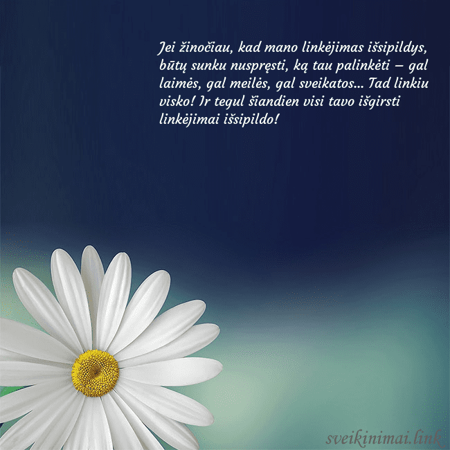 Gimtadienio atvirukas su didele ramune