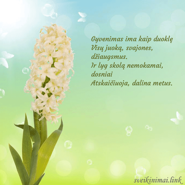 Atvirukas su hiacintu Gyvenimas ima kaip duoklę
Visų juoką, svajones, dž Atvirukas su hiacintu