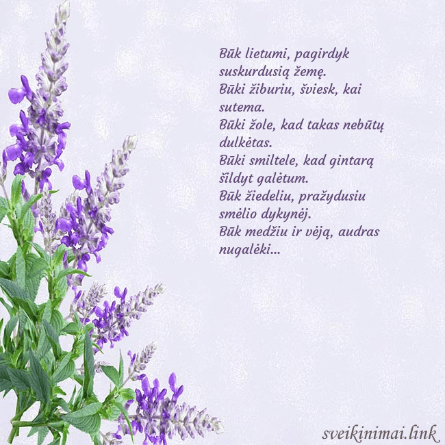 Gimtadienio atvirukas su lubinais Būk lietumi, pagirdyk suskurdusią žemę.
Būki žibur Gimtadienio atvirukas su lubinais