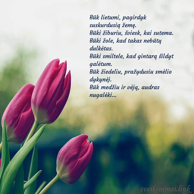 Atvirukas su trim raudonomis tulpėmis Būk lietumi, pagirdyk suskurdusią žemę.
Būki žibur Atvirukas su trim raudonomis tulpėmis