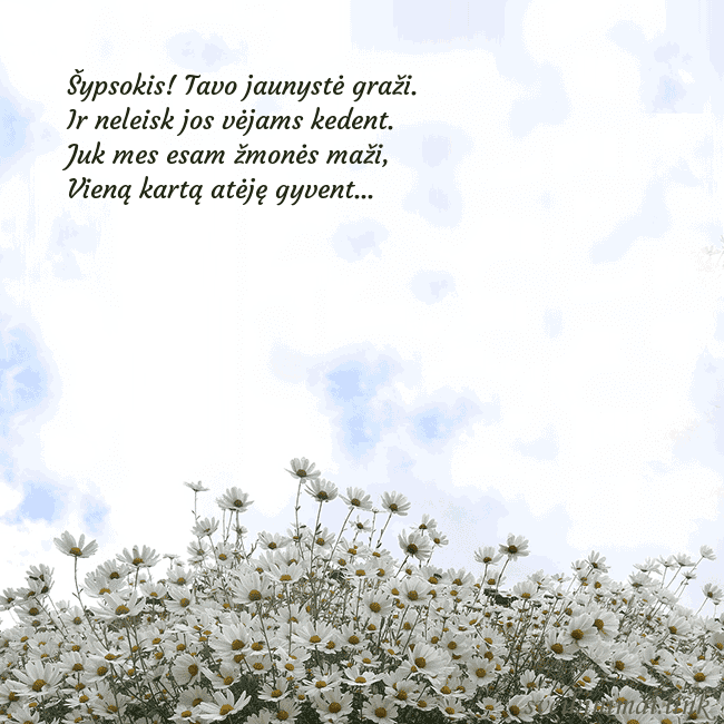 Atvirukas su ramunėmis Šypsokis! Tavo jaunystė graži.
Ir neleisk jos vėja Atvirukas su ramunėmis