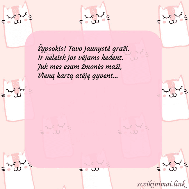 Rožinis gimtadienio atvirukas su juokingais katinais Šypsokis! Tavo jaunystė graži.
Ir neleisk jos vėja Rožinis gimtadienio atvirukas su juokingais katinais