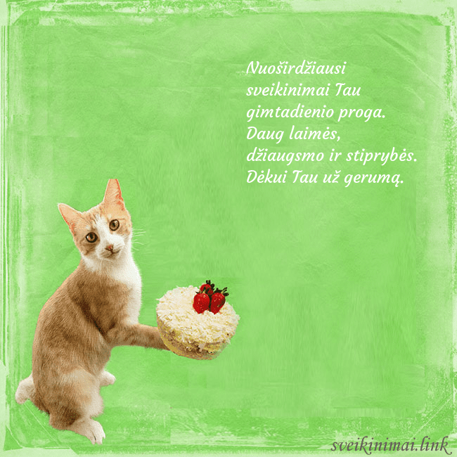 Gimtadienio atvirukas su katinu ir tortu