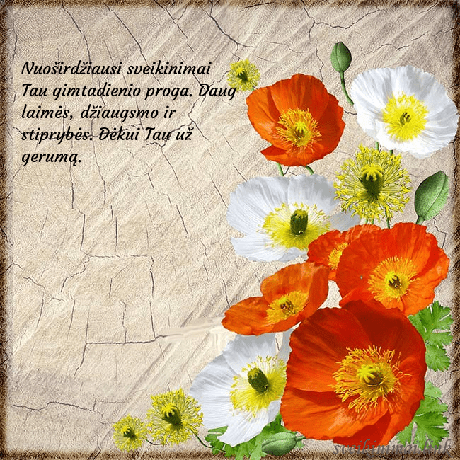 Atvirukas su aguonomis Nuoširdžiausi sveikinimai Tau gimtadienio proga. D Atvirukas su aguonomis