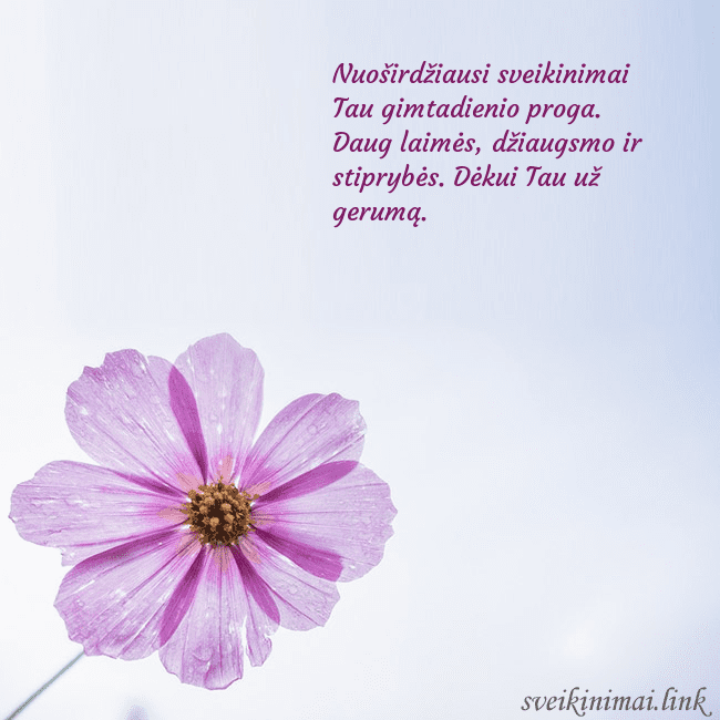 Elektroninė atvirutė su violetine gėle Nuoširdžiausi sveikinimai Tau gimtadienio proga. D Elektroninė atvirutė su violetine gėle