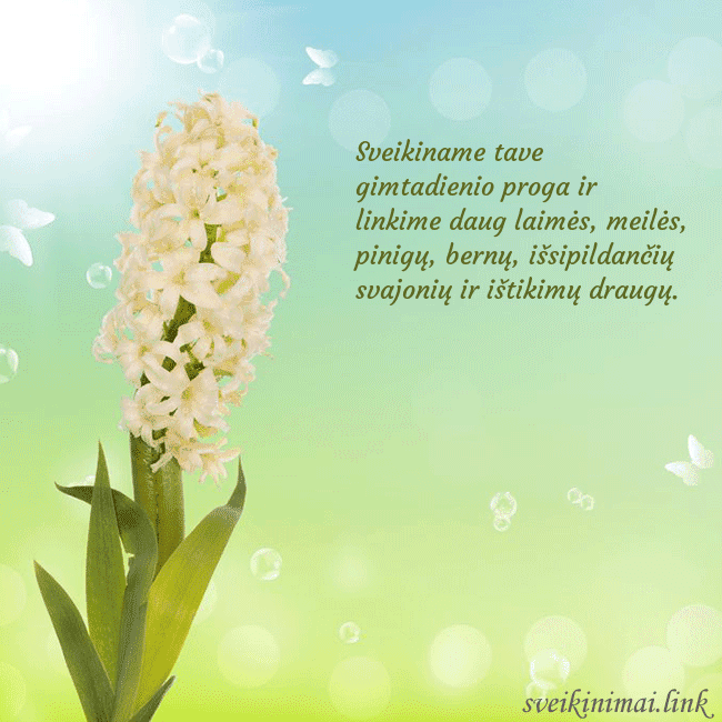 Atvirukas su hiacintu