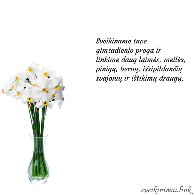 Atvirukas su narcizais