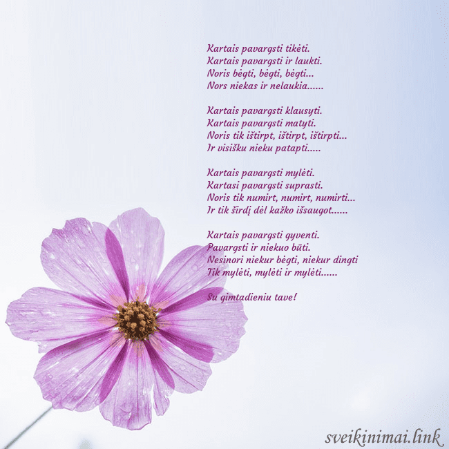 Elektroninė atvirutė su violetine gėle