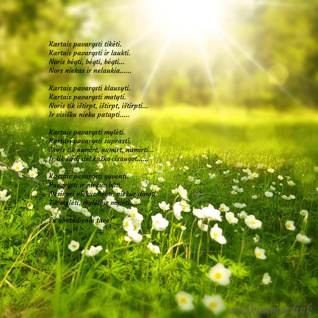 Elektroninė atvirutė su saulės spinduliuose skendinčia pieva