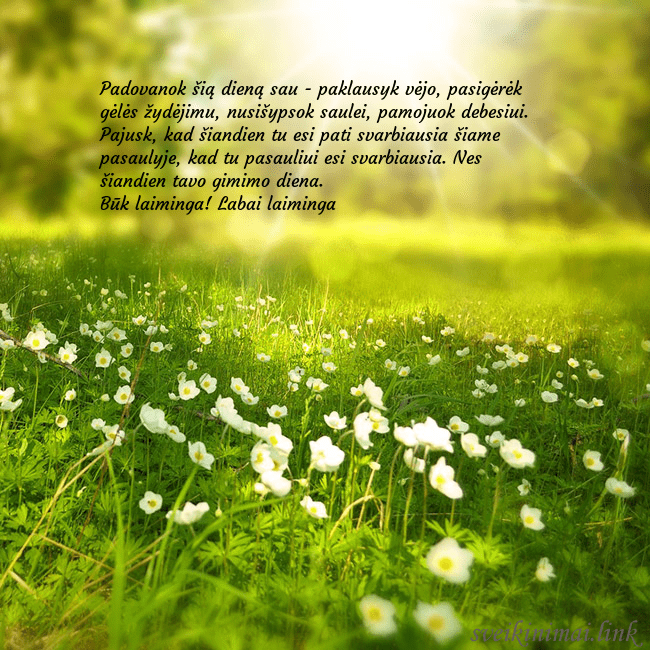 Elektroninė atvirutė su saulės spinduliuose skendinčia pieva