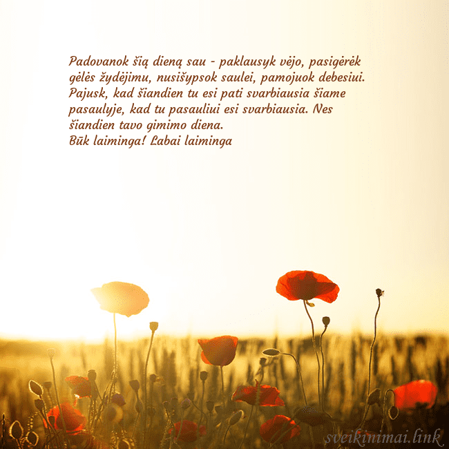 Elektroninė atvirutė su saulėje skendinčiu aguonų lauku