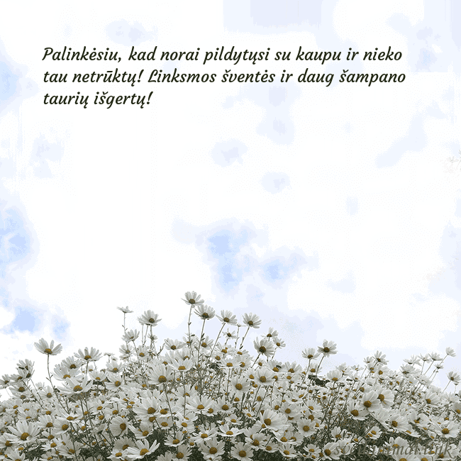 Atvirukas su ramunėmis Palinkėsiu, kad norai pildytųsi su kaupu ir nieko Atvirukas su ramunėmis