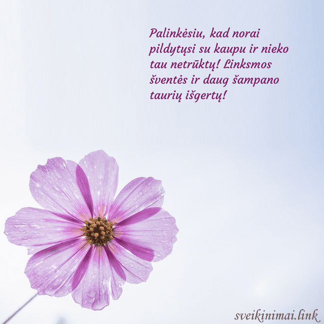 Elektroninė atvirutė su violetine gėle Palinkėsiu, kad norai pildytųsi su kaupu ir nieko Elektroninė atvirutė su violetine gėle
