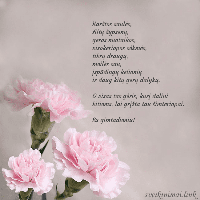 Atvirukas su rožiniais gvazdikais