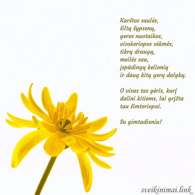 Atvirukas su geltona gėle