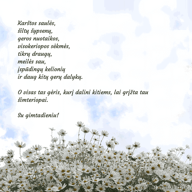 Atvirukas su ramunėmis