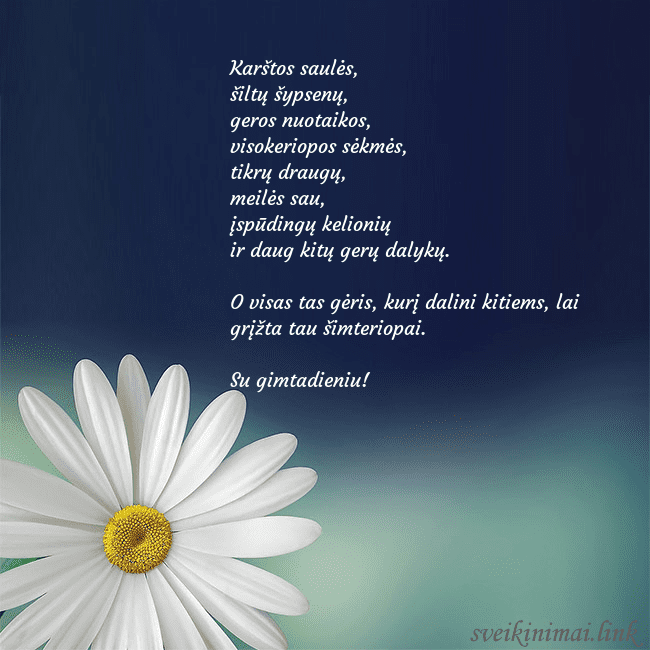 Gimtadienio atvirukas su didele ramune