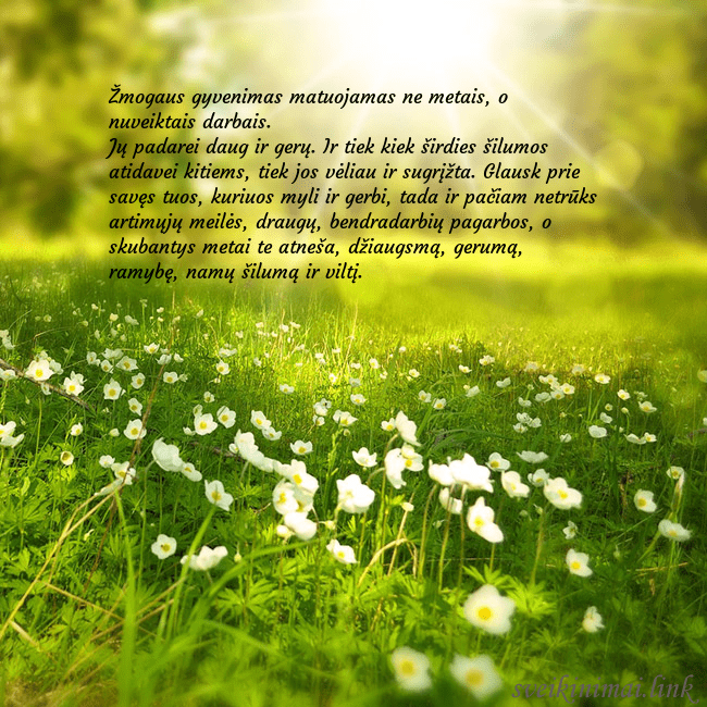 Elektroninė atvirutė su saulės spinduliuose skendinčia pieva