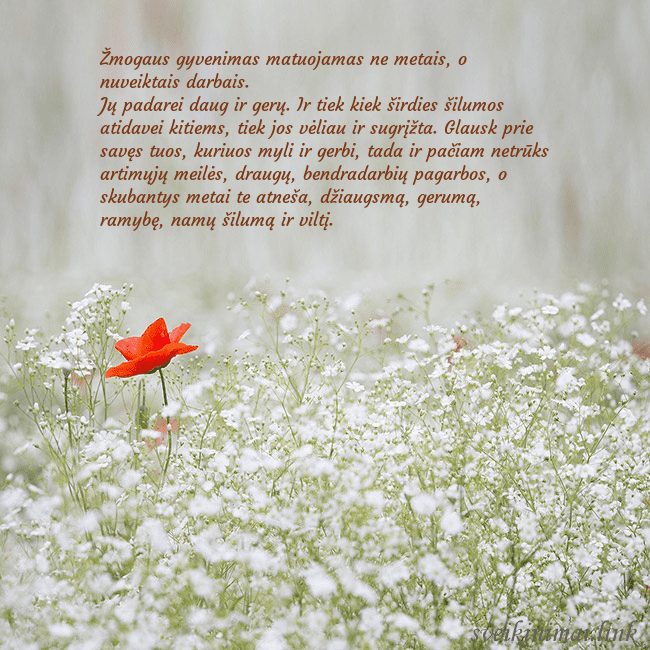 Elektroninis gimtadienio atvirukas su baltomis gėlėmis