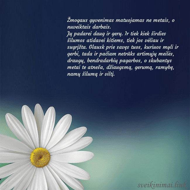 Gimtadienio atvirukas su didele ramune