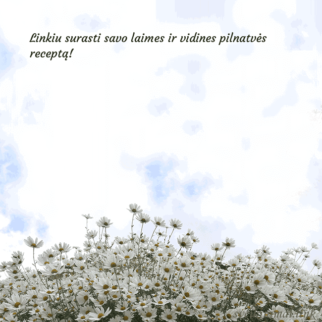 Atvirukas su ramunėmis