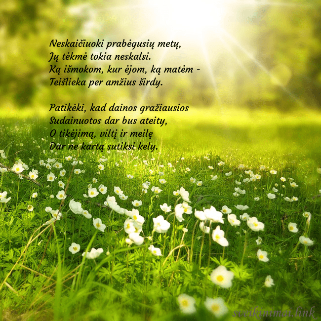 Elektroninė atvirutė su saulės spinduliuose skendinčia pieva