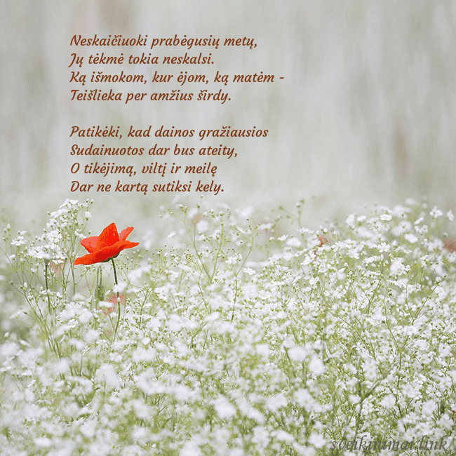 Elektroninis gimtadienio atvirukas su baltomis gėlėmis