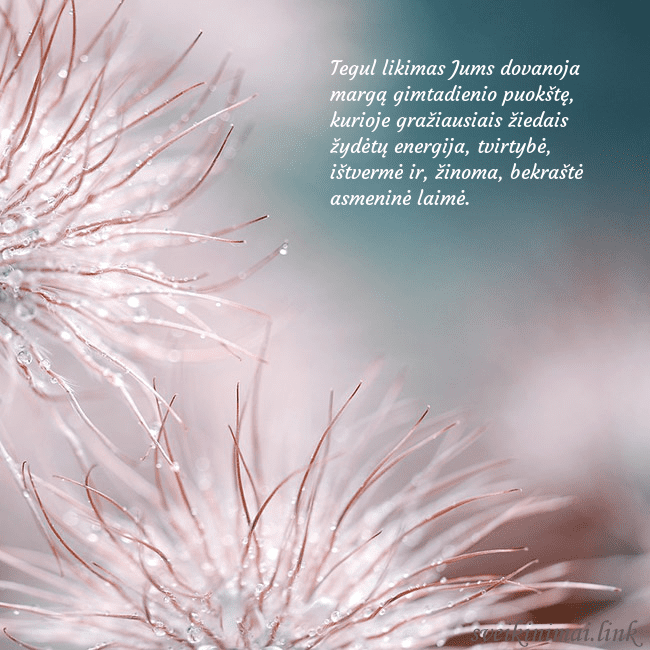 Atvirukas su pūkuotais augaliukais Tegul likimas Jums dovanoja margą gimtadienio puok Atvirukas su pūkuotais augaliukais