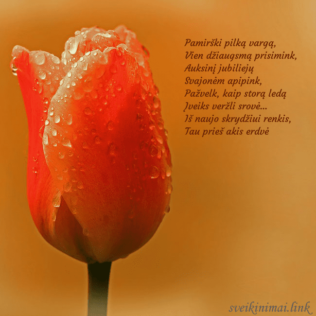 Gimtadienio atvirukas su raudona tulpe
