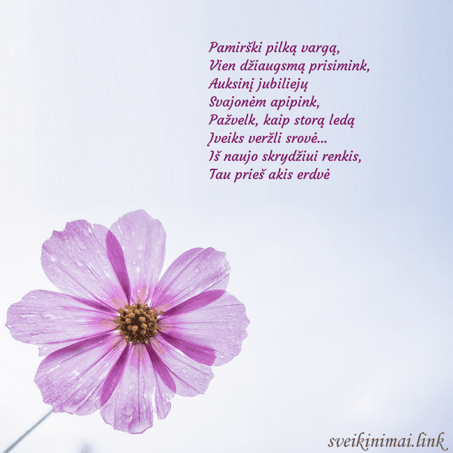 Elektroninė atvirutė su violetine gėle Pamirški pilką vargą,
Vien džiaugsmą prisimink,
Au Elektroninė atvirutė su violetine gėle