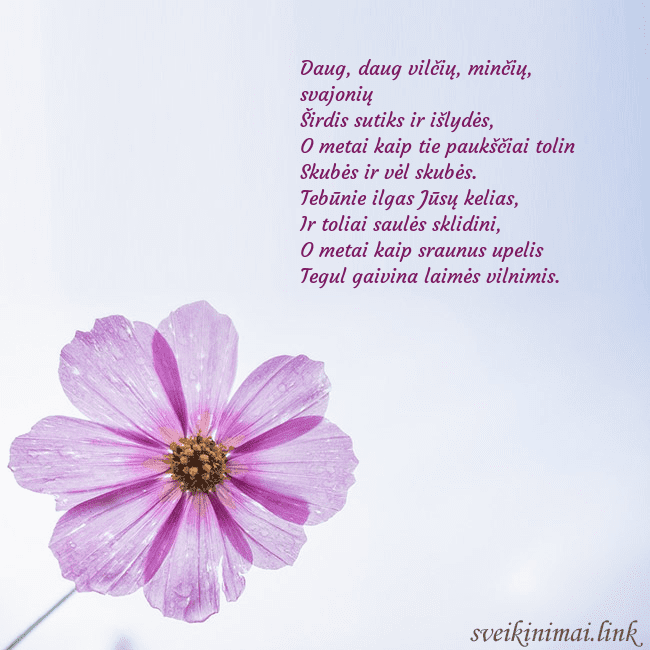 Elektroninė atvirutė su violetine gėle Daug, daug vilčių, minčių, svajonių
Širdis sutiks Elektroninė atvirutė su violetine gėle