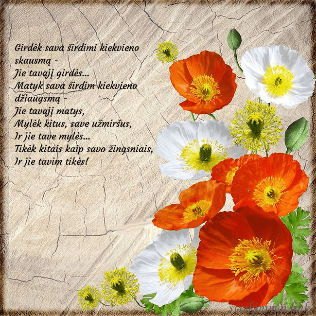 Atvirukas su aguonomis Girdėk sava širdimi kiekvieno skausmą -
Jie tavą Atvirukas su aguonomis
