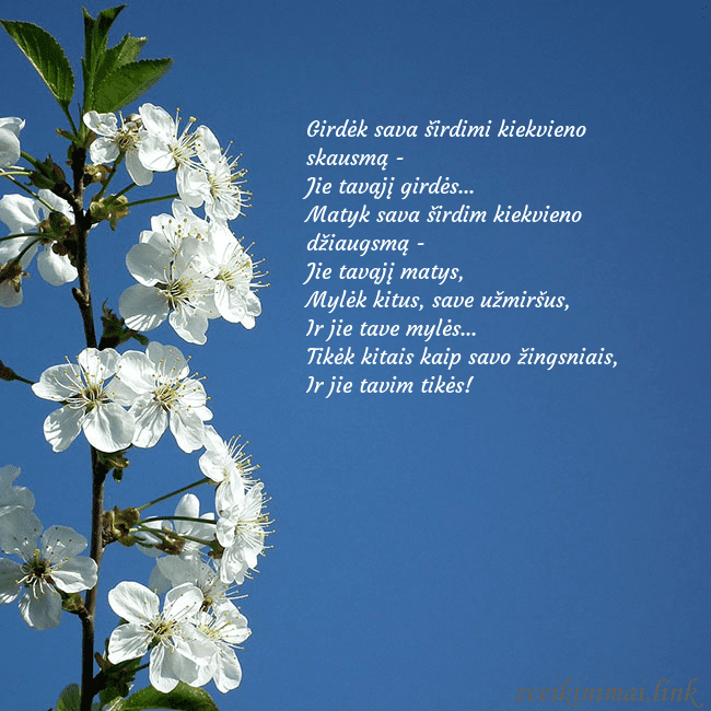Atvirukas su pavasario žiedais Girdėk sava širdimi kiekvieno skausmą -
Jie tavą Atvirukas su pavasario žiedais