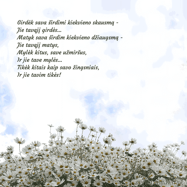 Atvirukas su ramunėmis