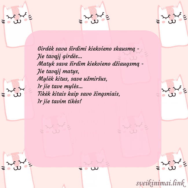 Rožinis gimtadienio atvirukas su juokingais katinais